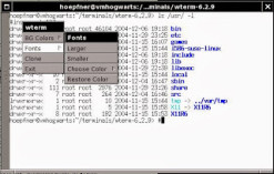 wterm-linux-terminal-emulator