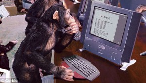 monkey-on-a-computer-300x171